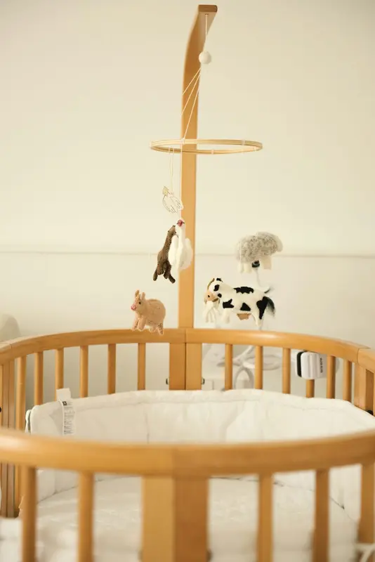 Twins.Baby Premium Domain